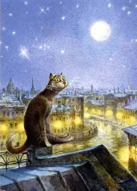 Пазл На крыше