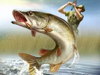 Пазл На крючке