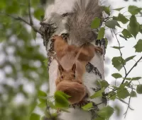 Пазл На новое место
