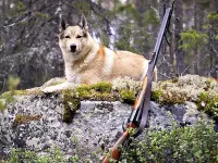 Пазл На охоте