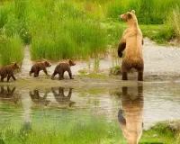 Пазл На прогулке с мамой
