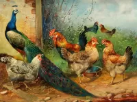 Пазл На птичьем дворе 