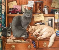 Пазл На шкафу