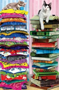 Пазл На вершине