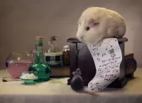 Пазл На зачете