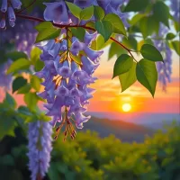 Пазл На закате