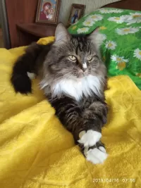 Пазл наш Пуся