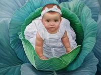 Пазл Нашли в капусте