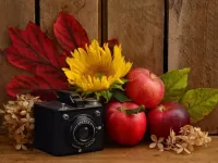 Пазл Натюрморт с фотоаппаратом