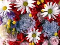 Пазл Ромашки с розами