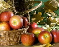 Пазл Натюрморт