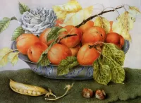 Пазл Натюрморт с абрикосами 