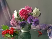 Пазл Натюрморт с астрами 