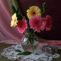 Пазл Натюрморт с герберами 