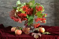 Пазл Натюрморт с калиной