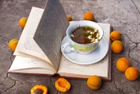 Пазл Натюрморт с книгой