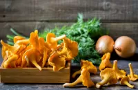 Пазл Натюрморт с лисичками
