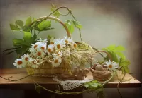 Пазл Натюрморт с ромашками