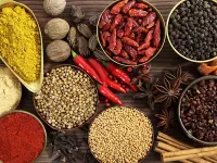 Пазл Специи