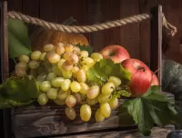 Пазл Натюрморт в ящике