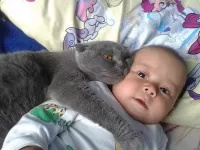 Пазл Не отдам никому