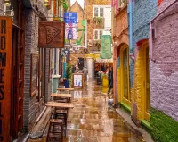 Пазл Neal's Yard