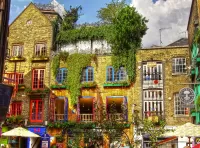 Пазл Neal's Yard 