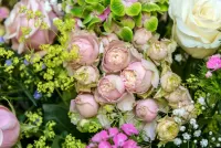 Пазл Нежные бутоны