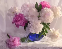 Пазл Нежность цветов