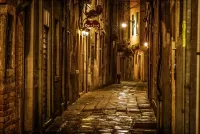 Пазл Ночь в Венеции