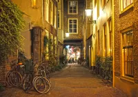 Пазл Ночная Гаага