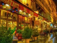 Пазл Ночной Лион