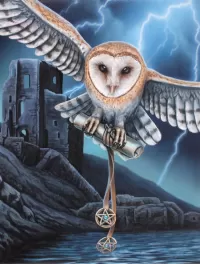 Пазл Ночной посланник