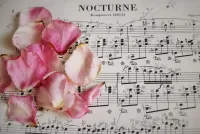 Пазл Ноктюрн