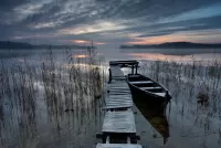 Пазл Novermber Silence