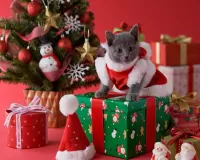 Пазл Новогодний котенок