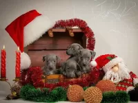 Пазл Новогодний подарок