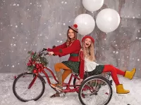 Пазл Новогодний велосипед