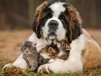 Пазл Нянька