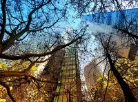 Пазл Нью Йорк