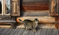 Пазл Обходя владения 