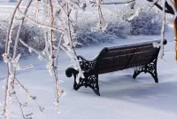 Пазл Обледенелая скамья