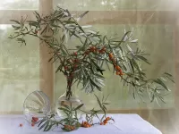 Пазл Облепиха