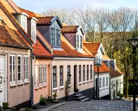 Пазл Оденсе Дания