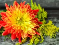 Пазл Огненный цветок