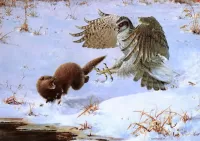 Пазл Охота на норку