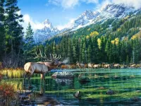 Пазл Оленье озеро