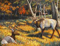 Пазл Олени в лесу 