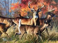 Пазл Олений бег