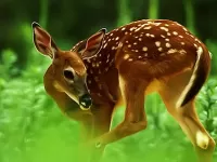 Пазл Оленёнок